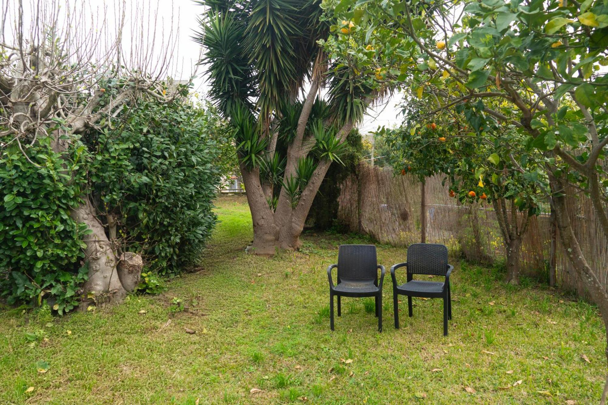 La Terrazza Sul Giardino Apartamento Procida Exterior foto